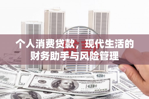 仁怀个人消费贷款，现代生活的财务助手与风险管理