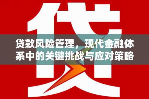 仁怀贷款风险管理，现代金融体系中的关键挑战与应对策略