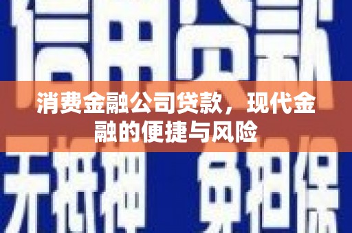 仁怀消费金融公司贷款，现代金融的便捷与风险
