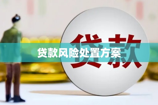 仁怀贷款风险处置方案